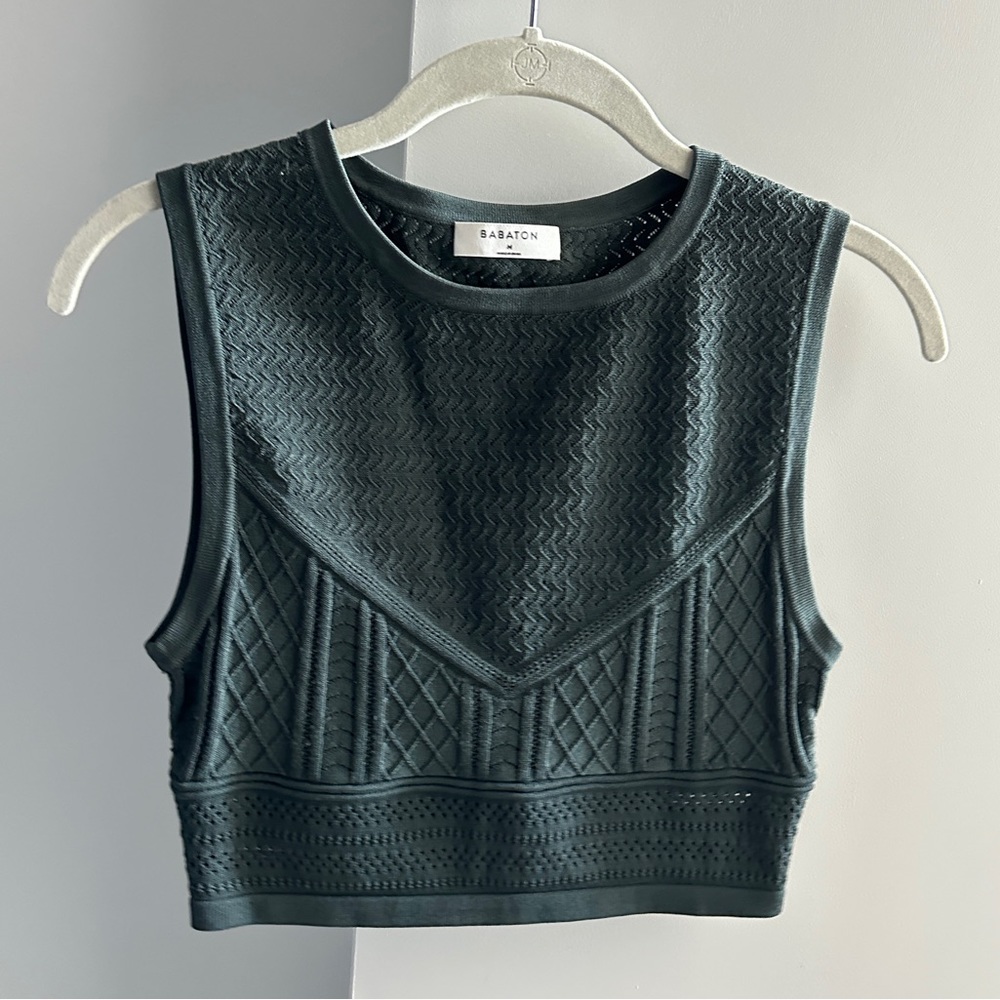 Aritzia POINTELLE CROPPED TANK babaton